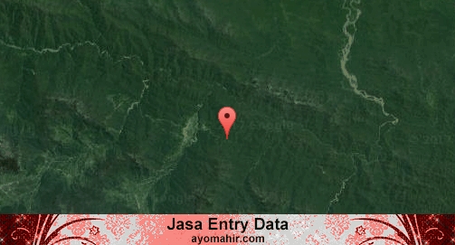 Jasa Entry Data Excel Murah Yalimo