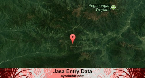 Jasa Entry Data Excel Murah Dogiyai