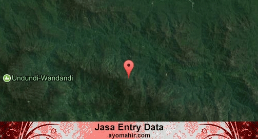Jasa Entry Data Excel Murah Intan Jaya