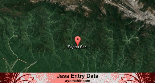 Jasa Entry Data Excel Murah Papua