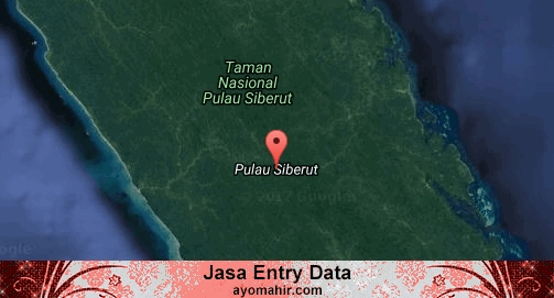 Jasa Entry Data Excel Murah Kepulauan Mentawai