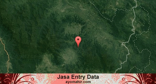 Jasa Entry Data Excel Murah Lima Puluh Kota