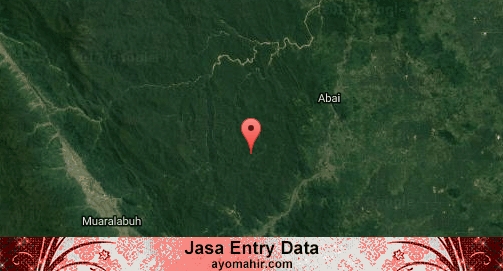 Jasa Entry Data Excel Murah Solok Selatan
