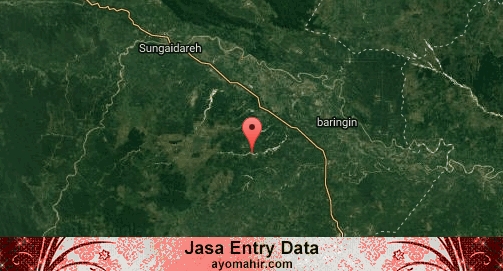 Jasa Entry Data Excel Murah Dharmasraya