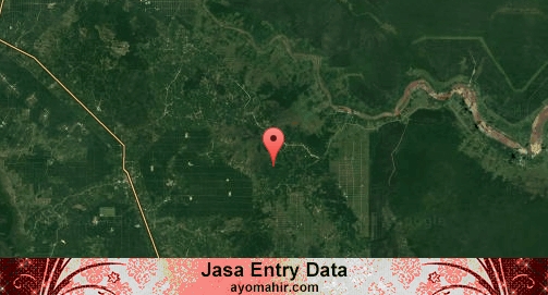 Jasa Entry Data Excel Murah Pelalawan