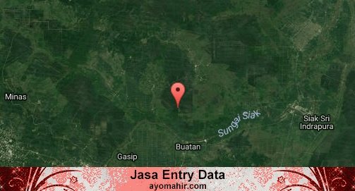 Jasa Entry Data Excel Murah S I A K