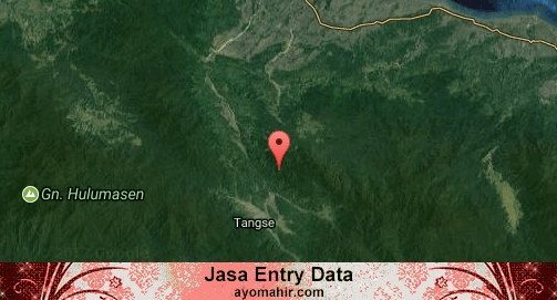 Jasa Entry Data Excel Murah Pidie