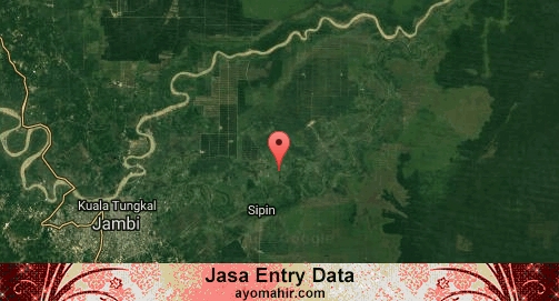 Jasa Entry Data Excel Murah Muaro Jambi