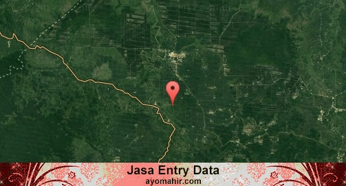 Jasa Entry Data Excel Murah Tanjung Jabung Barat