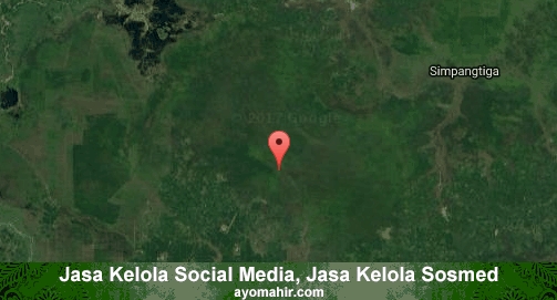 Jasa Kelola Social Media Sosmed Murah Ogan Komering Ilir