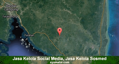 Jasa Kelola Social Media Sosmed Murah Lampung Selatan