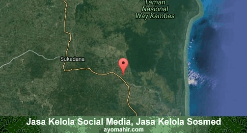 Jasa Kelola Social Media Sosmed Murah Lampung Timur