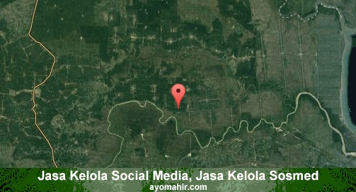 Jasa Kelola Social Media Sosmed Murah Tulangbawang