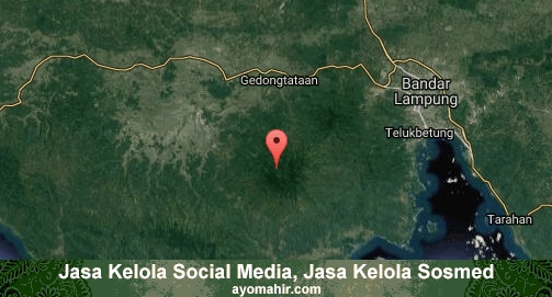 Jasa Kelola Social Media Sosmed Murah Pesawaran