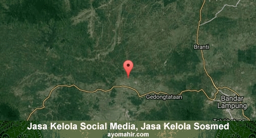 Jasa Kelola Social Media Sosmed Murah Pringsewu