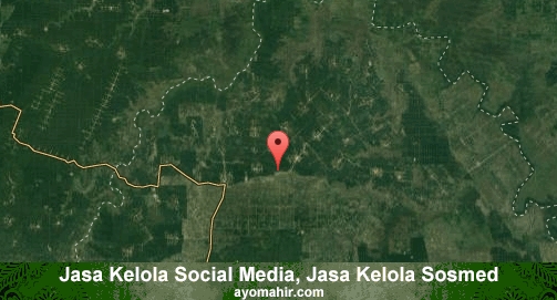 Jasa Kelola Social Media Sosmed Murah Mesuji