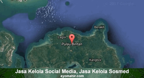 Jasa Kelola Social Media Sosmed Murah Bintan