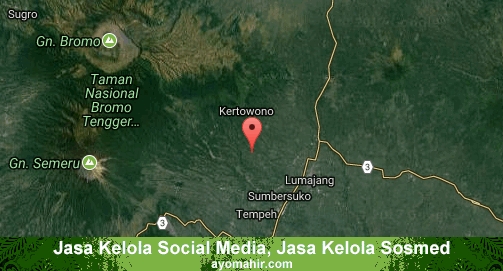 Jasa Kelola Social Media Sosmed Murah Lumajang