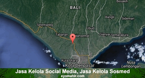 Jasa Kelola Social Media Sosmed Murah Badung