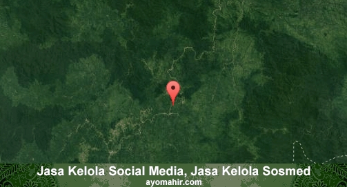 Jasa Kelola Social Media Sosmed Murah Melawi