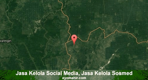 Jasa Kelola Social Media Sosmed Murah Kotawaringin Barat