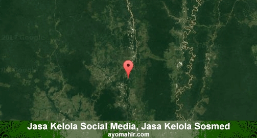 Jasa Kelola Social Media Sosmed Murah Kapuas