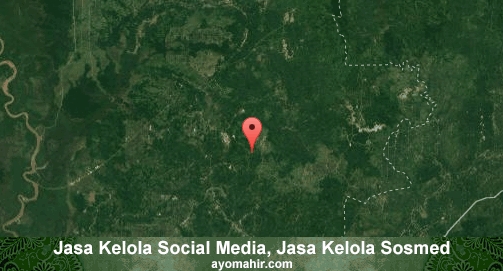 Jasa Kelola Social Media Sosmed Murah Barito Timur