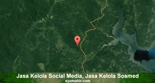 Jasa Kelola Social Media Sosmed Murah Kota Baru