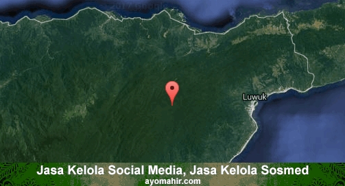 Jasa Kelola Social Media Sosmed Murah Banggai