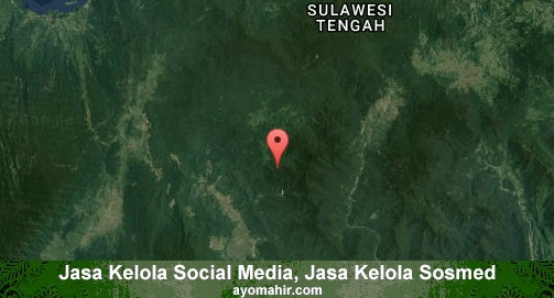 Jasa Kelola Social Media Sosmed Murah Morowali Utara