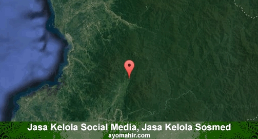 Jasa Kelola Social Media Sosmed Murah Mamuju Tengah