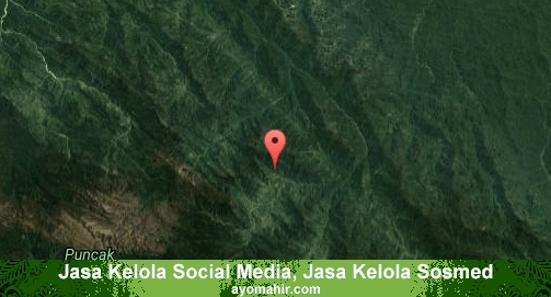 Jasa Kelola Social Media Sosmed Murah Pegunungan Bintang