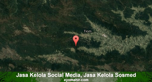 Jasa Kelola Social Media Sosmed Murah Lanny Jaya