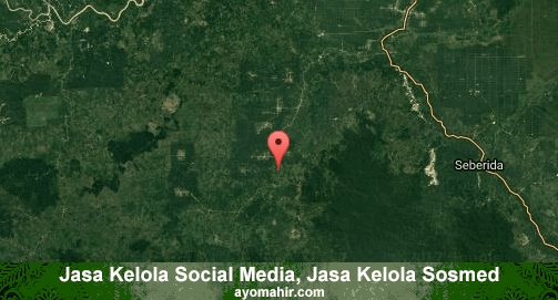 Jasa Kelola Social Media Sosmed Murah Indragiri Hulu