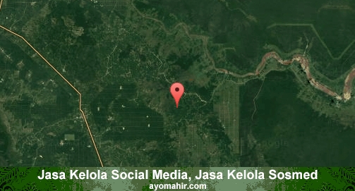 Jasa Kelola Social Media Sosmed Murah Pelalawan