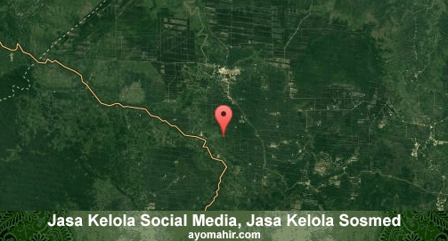 Jasa Kelola Social Media Sosmed Murah Tanjung Jabung Barat