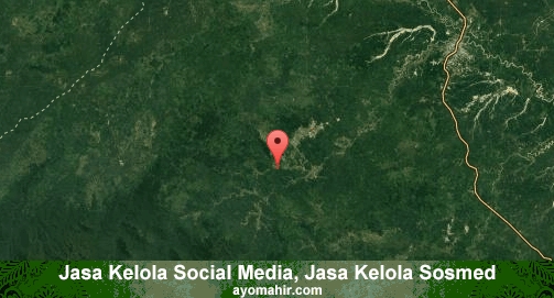 Jasa Kelola Social Media Sosmed Murah Bungo