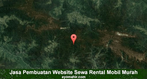 Jasa Pembuatan Website Rental Mobil Murah Jayawijaya