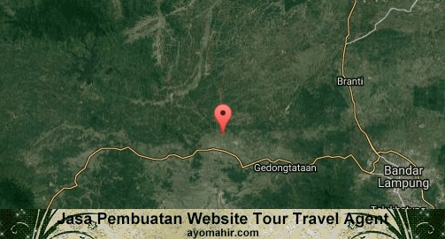 Jasa Pembuatan Website Travel Agent Murah Pringsewu
