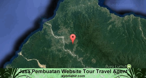 Jasa Pembuatan Website Travel Agent Murah Tojo Una-una