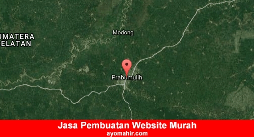 Jasa Pembuatan Website Murah Kota Prabumulih
