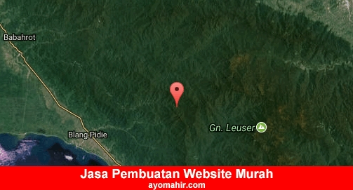 Jasa Pembuatan Website Murah Aceh Barat Daya
