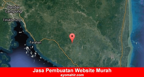 Jasa Pembuatan Website Murah Lampung Selatan