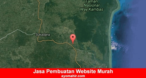 Jasa Pembuatan Website Murah Lampung Timur