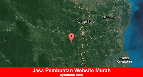Jasa Pembuatan Website Murah Aceh Tamiang