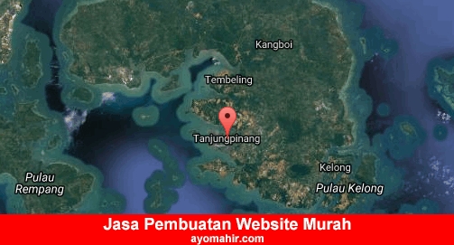 Jasa Pembuatan Website Murah Kota Tanjung Pinang