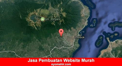 Jasa Pembuatan Website Murah Lombok Timur