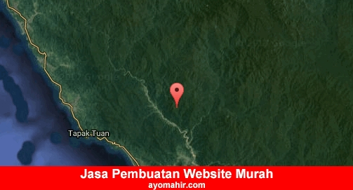 Jasa Pembuatan Website Murah Aceh Selatan