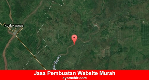 Jasa Pembuatan Website Murah Barito Kuala