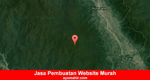 Jasa Pembuatan Website Murah Aceh Tenggara